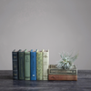 Decorative Book Storage Boxes {multiple styles}