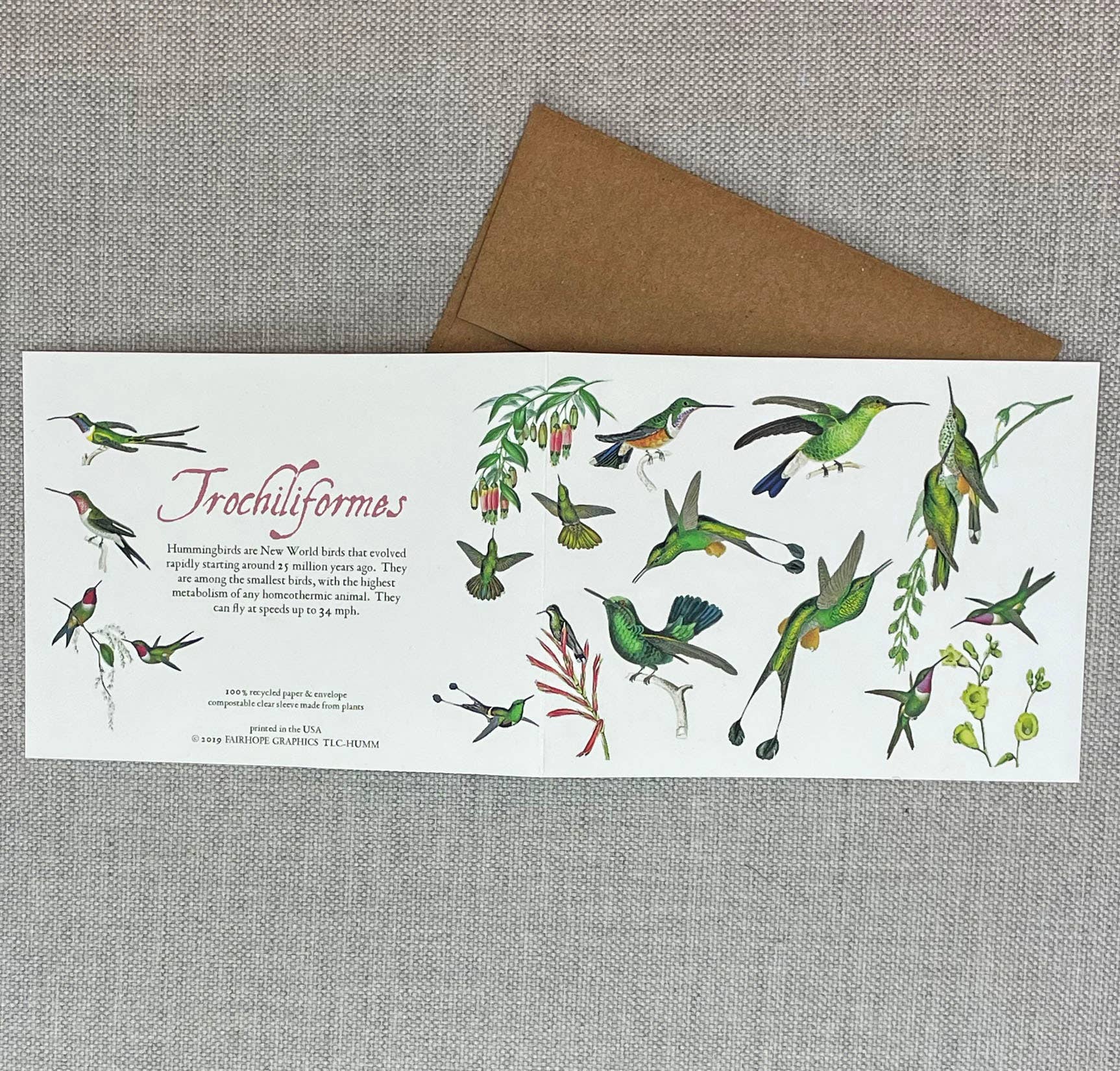 Hummingbirds