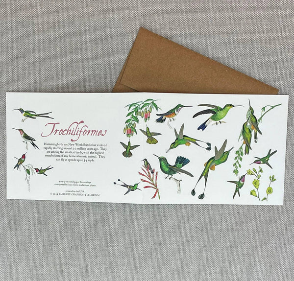 Hummingbirds