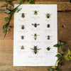 Abeilles du monde aquarelle Art Print