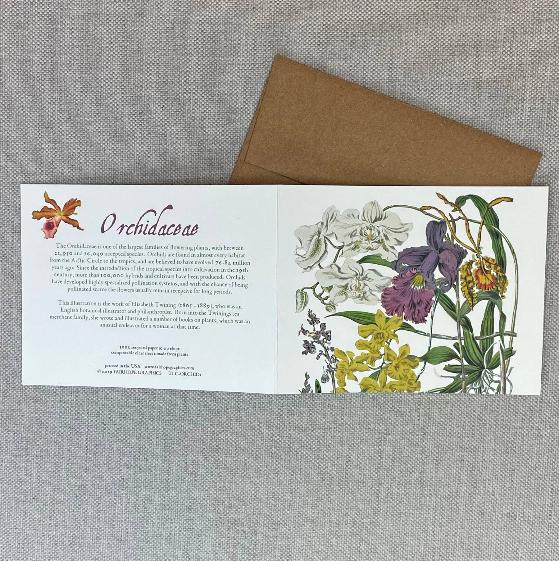 Orchidées