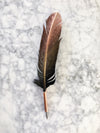 Hand Painted Feather Quill Nib Holder