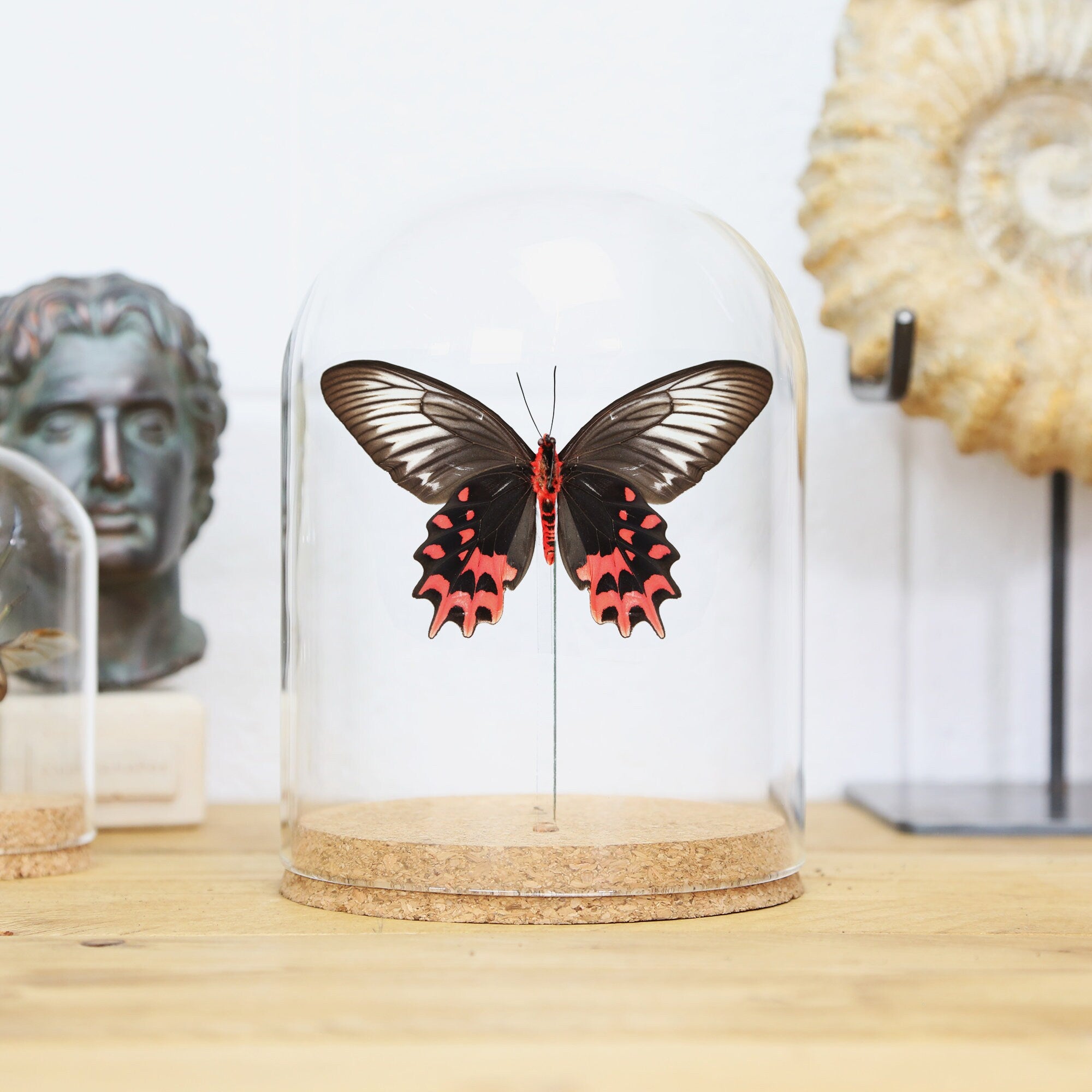 Broche papillon ballerine noire