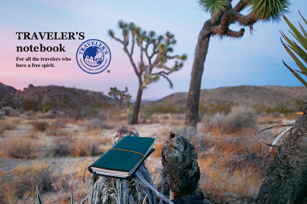 Traveler’s Notebook | Regular Size {multiple colors}