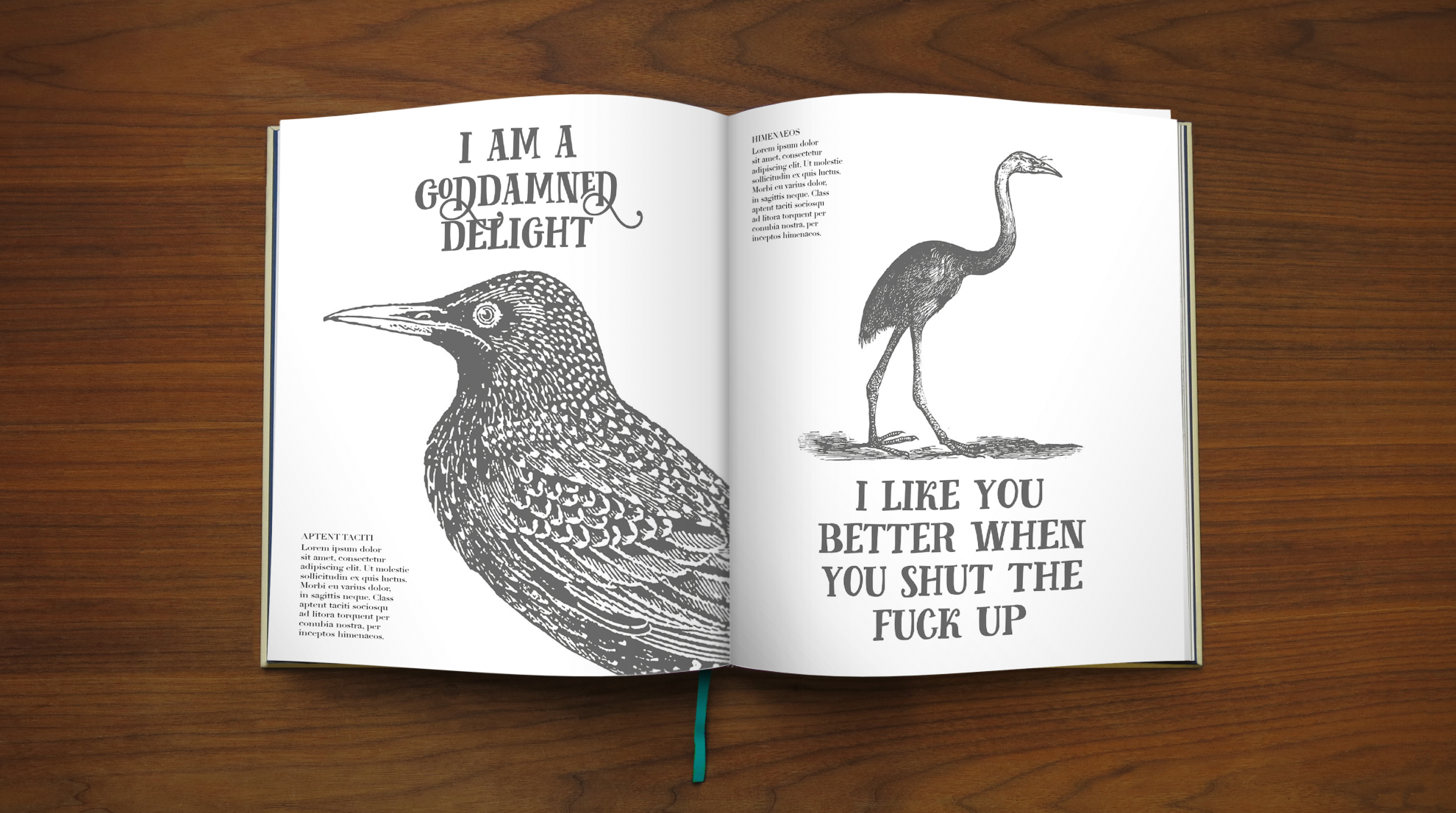 Effin'Oiseaux | Reynolds