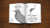 Effin'Oiseaux | Reynolds