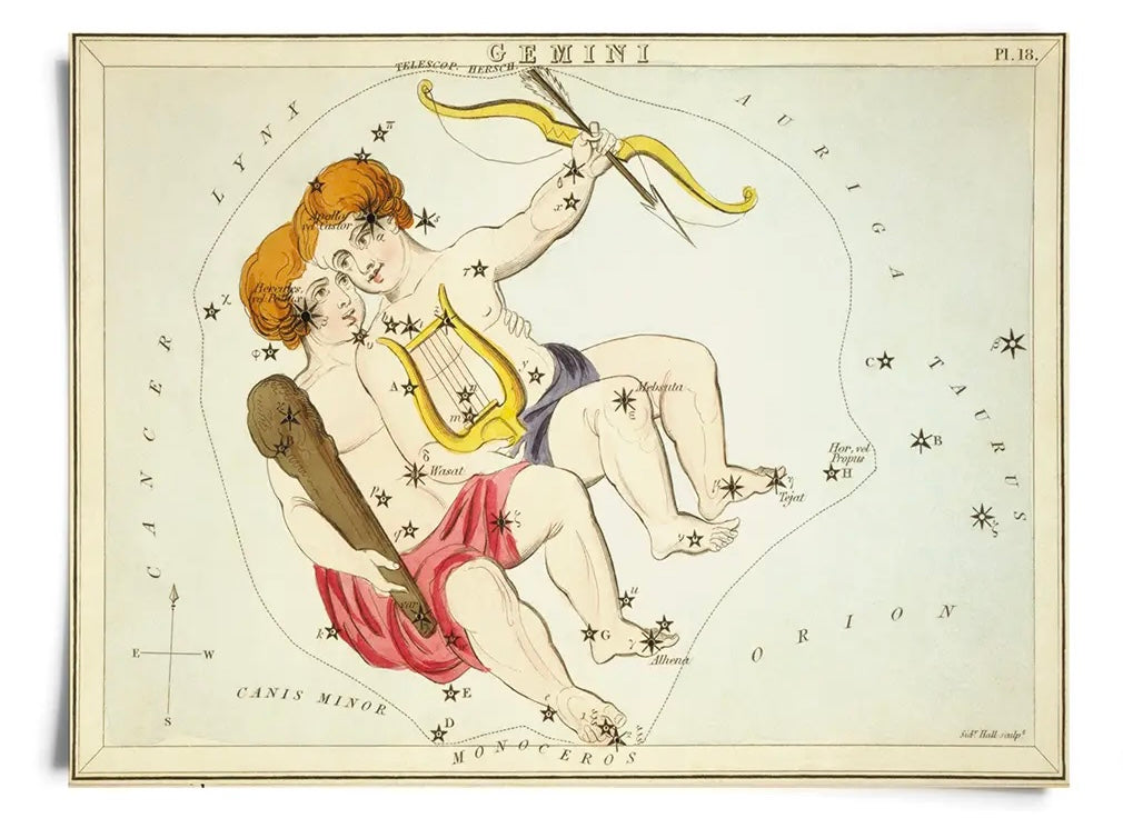 Astrologie du signe du zodiaque vintage | Impression artistique 8