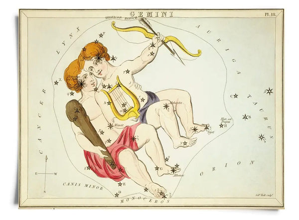 Astrologie du signe du zodiaque vintage | Impression artistique 8" x 10"