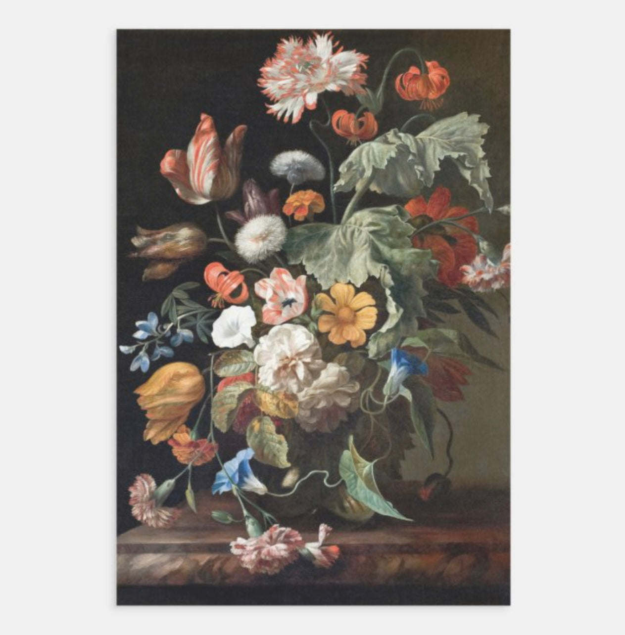 Feuilles simples d'emballage/découpage de créateur | 19