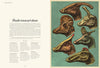 Welcome to the Museum Book Collection | Dinosaurium {Scott}