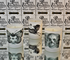 Penn Chemists Candles | Etchings Collection {Limited Edition}