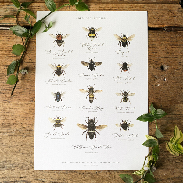 Abeilles du monde aquarelle Art Print
