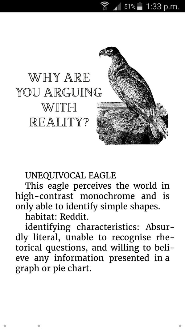Effin'Oiseaux | Reynolds