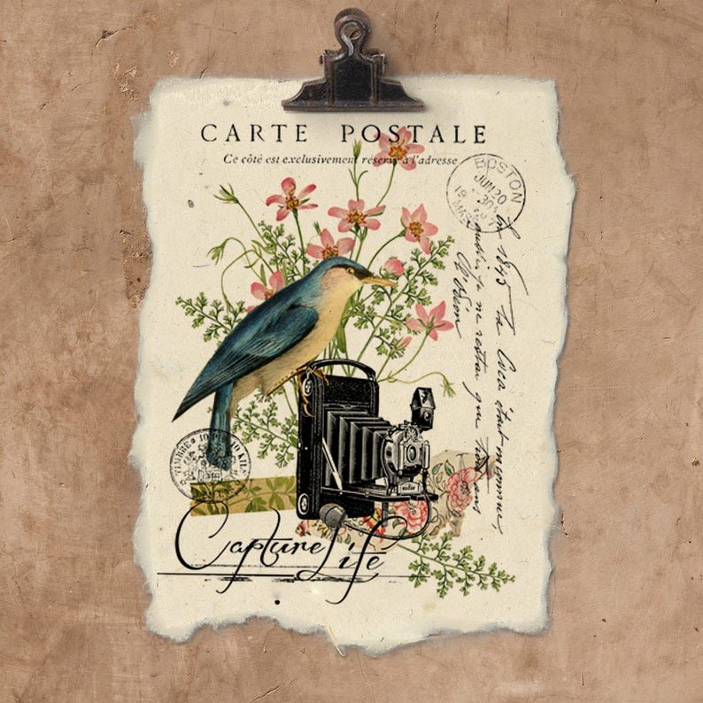 Capturer la vie | Impression d’art sur papier fait main {12x16}