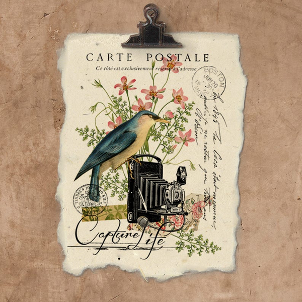 Capturer la vie | Impression d’art sur papier fait main {12x16}