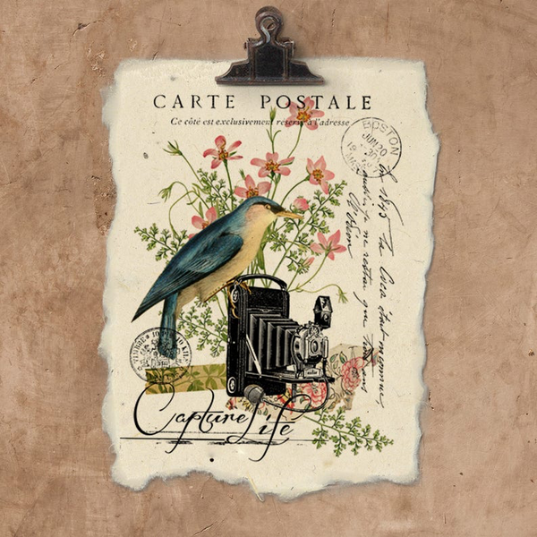 Capture Life | Art Print on Handmade Paper {12x16}