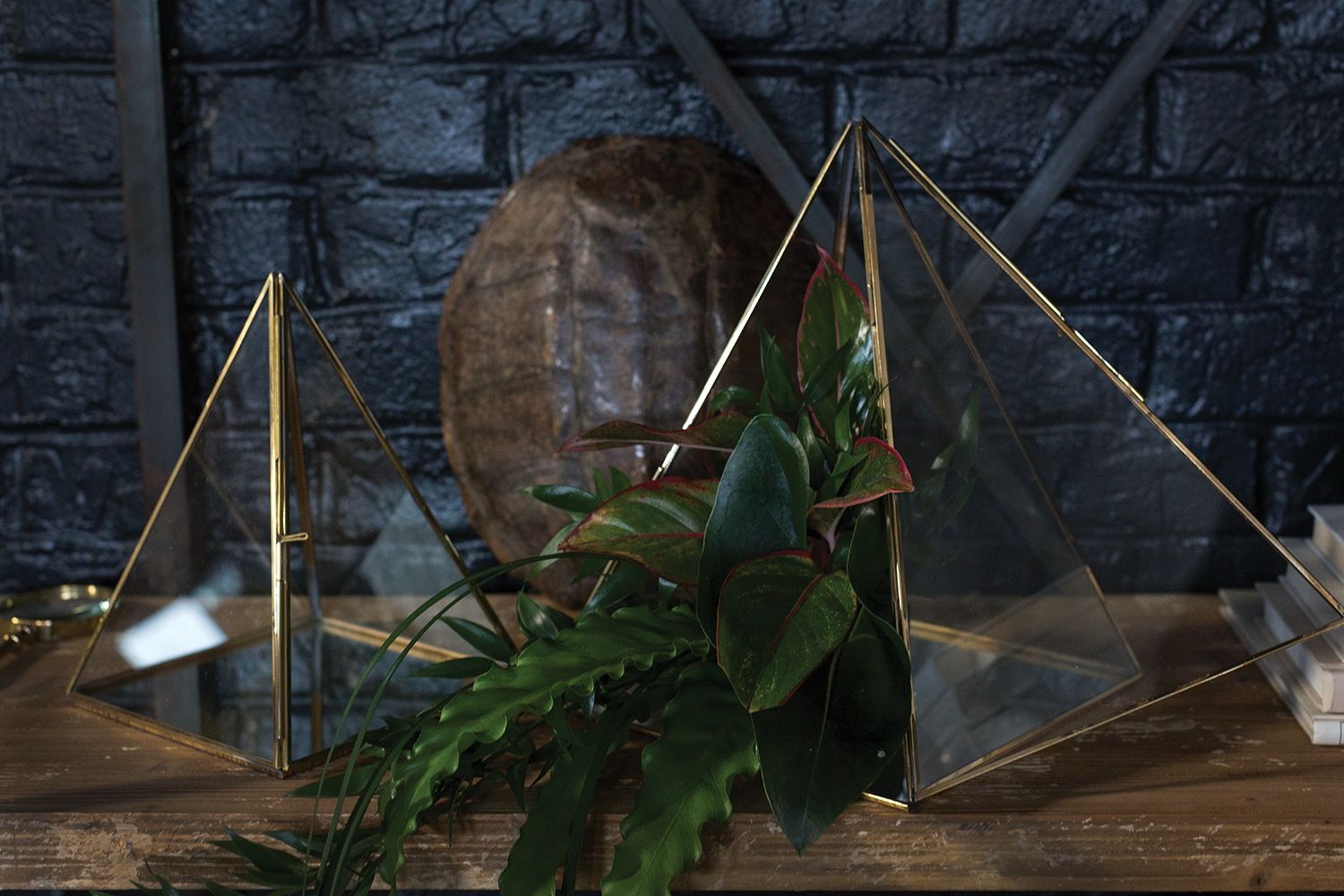 Giza Display Case {Multiple Sizes}
