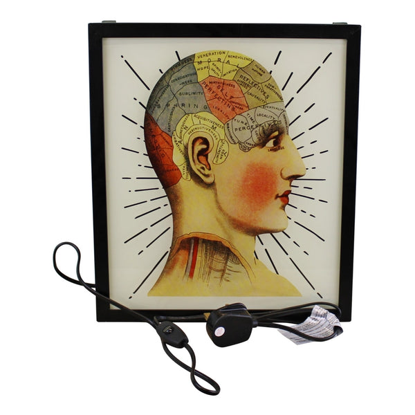 Boîte lumineuse décorative| Responsable Phrénologie