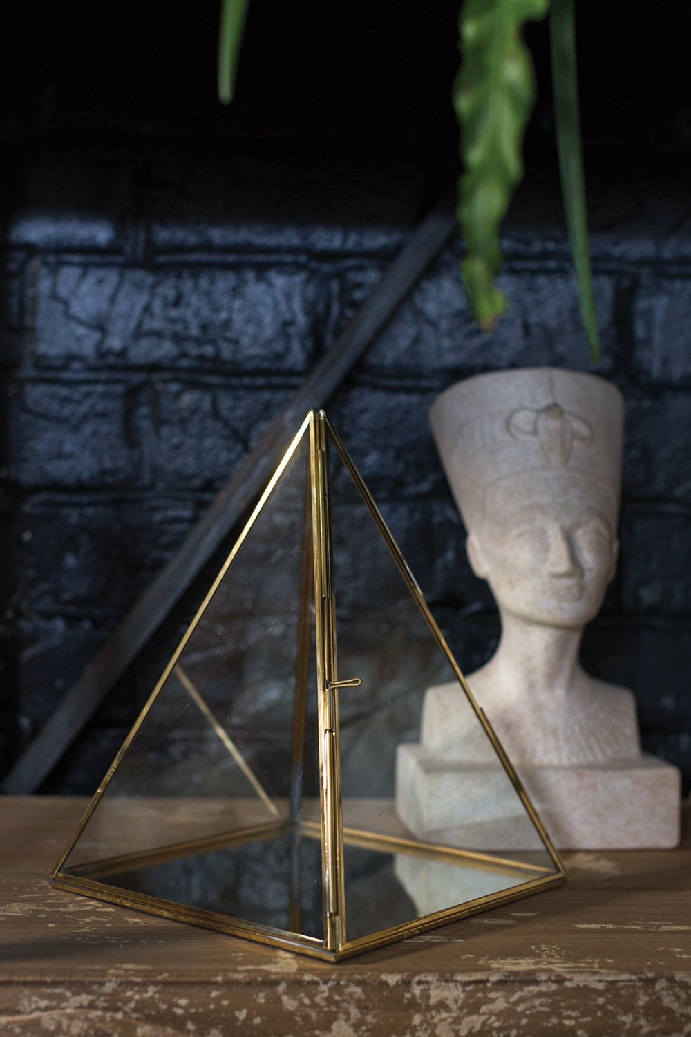 Giza Display Case {Multiple Sizes}