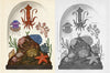 Welcome to the Museum Book Collection | Animalium {multiple types + bundle discount}