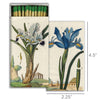 Matches in Decorative Match Boxes {Multiple Designs}