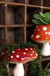 Ceramic Toadstool Planters