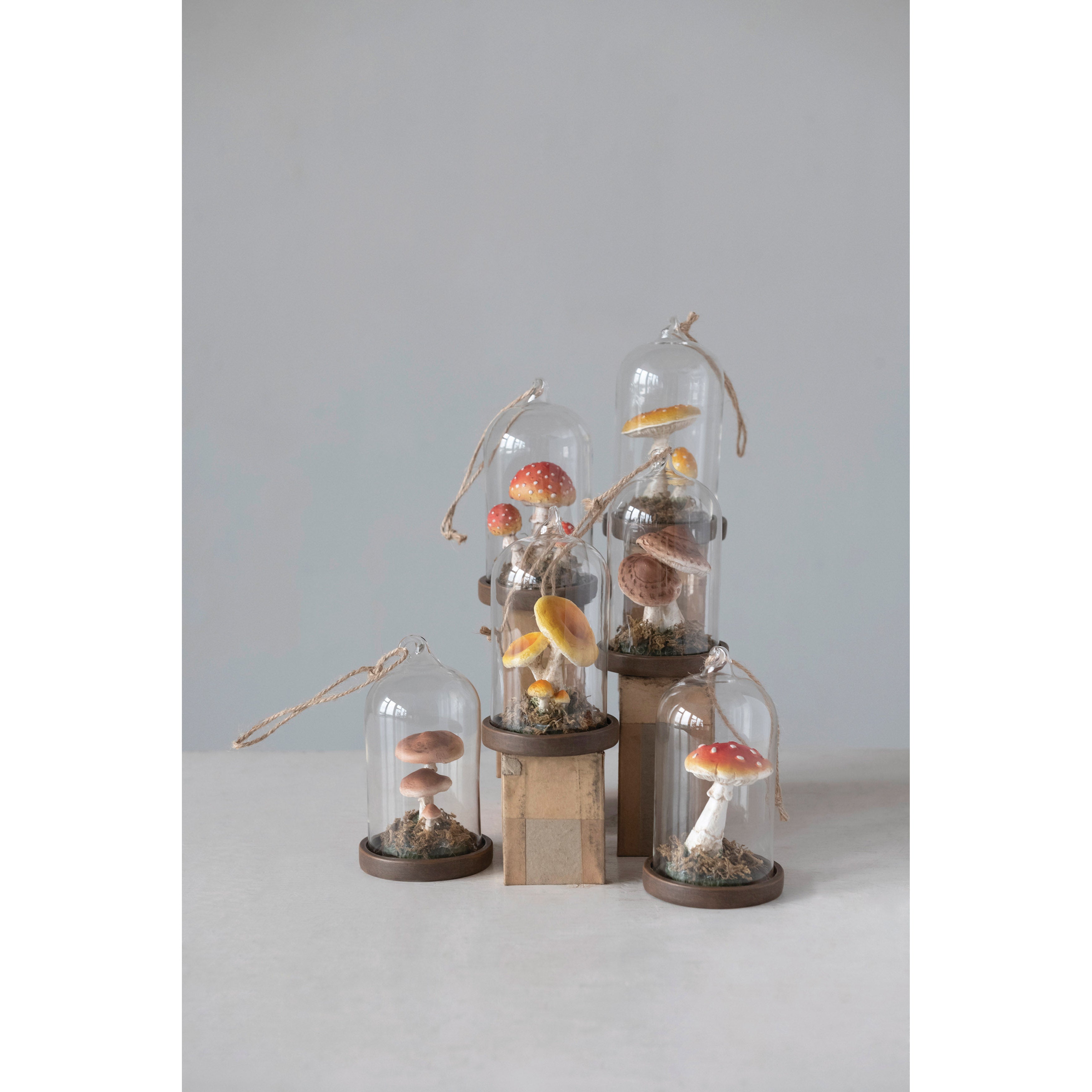 Glass Cloche Ornament with Resin Mushrooms