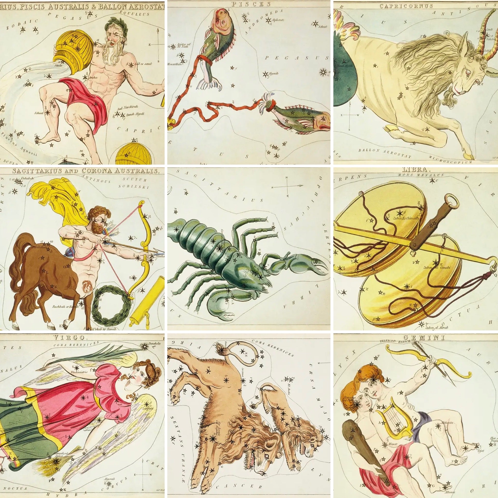 Astrologie du signe du zodiaque vintage | Impression artistique 8