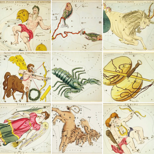Astrologie du signe du zodiaque vintage | Impression artistique 8" x 10"