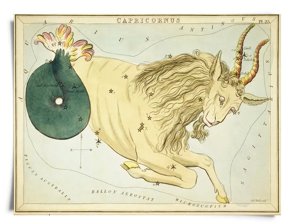 Astrologie du signe du zodiaque vintage | Impression artistique 8