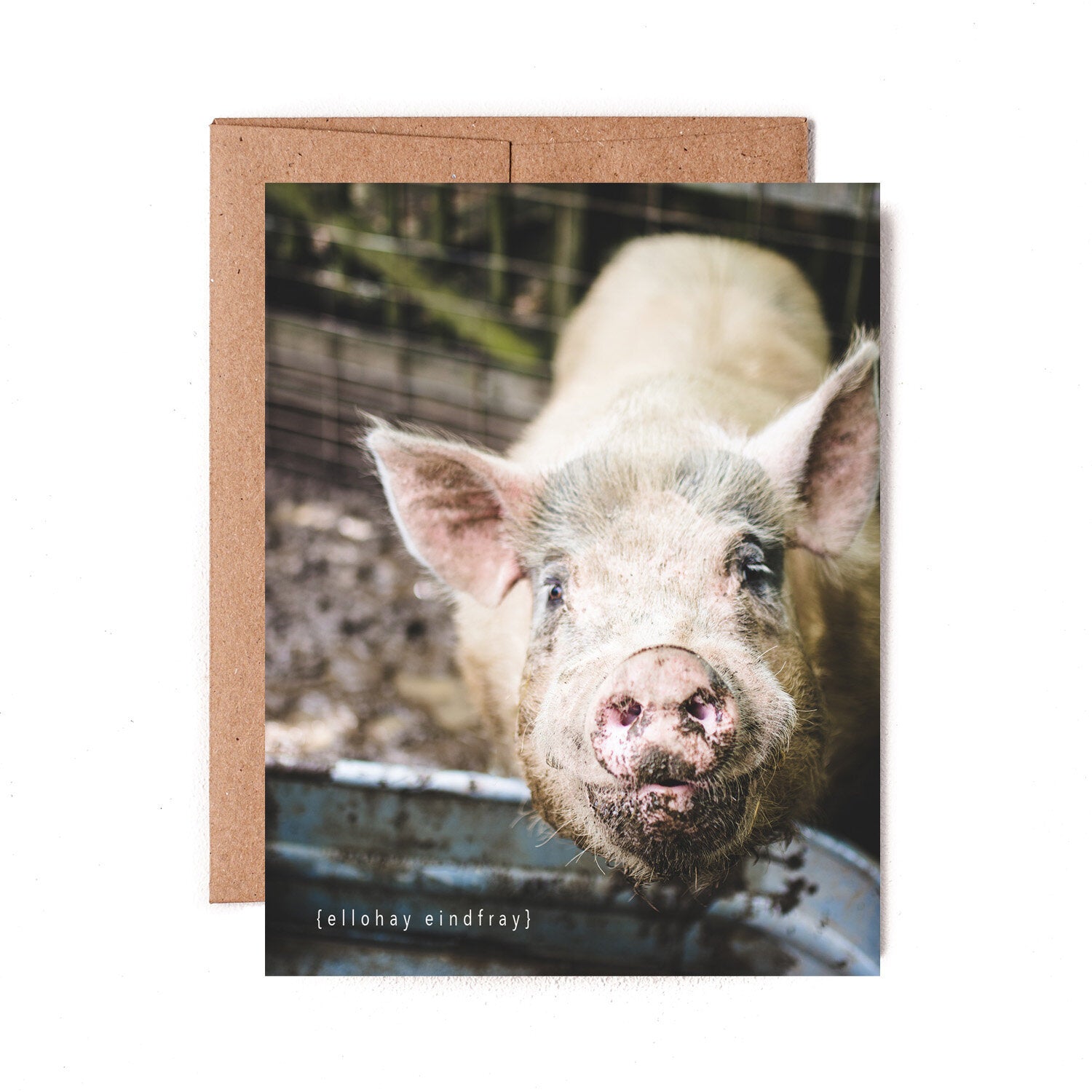 Pig Latin