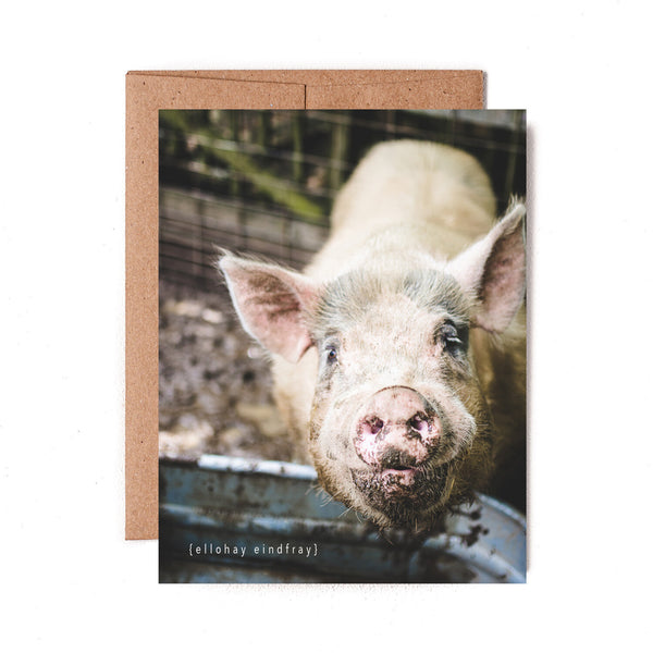 Pig Latin