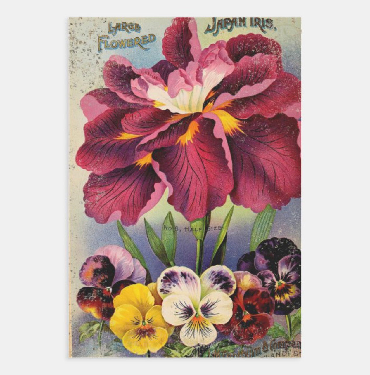 Feuilles simples d'emballage/découpage de créateur | 19