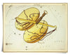 Astrologie du signe du zodiaque vintage | Impression artistique 8" x 10"
