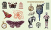 Sticker Studio Book | Arcana