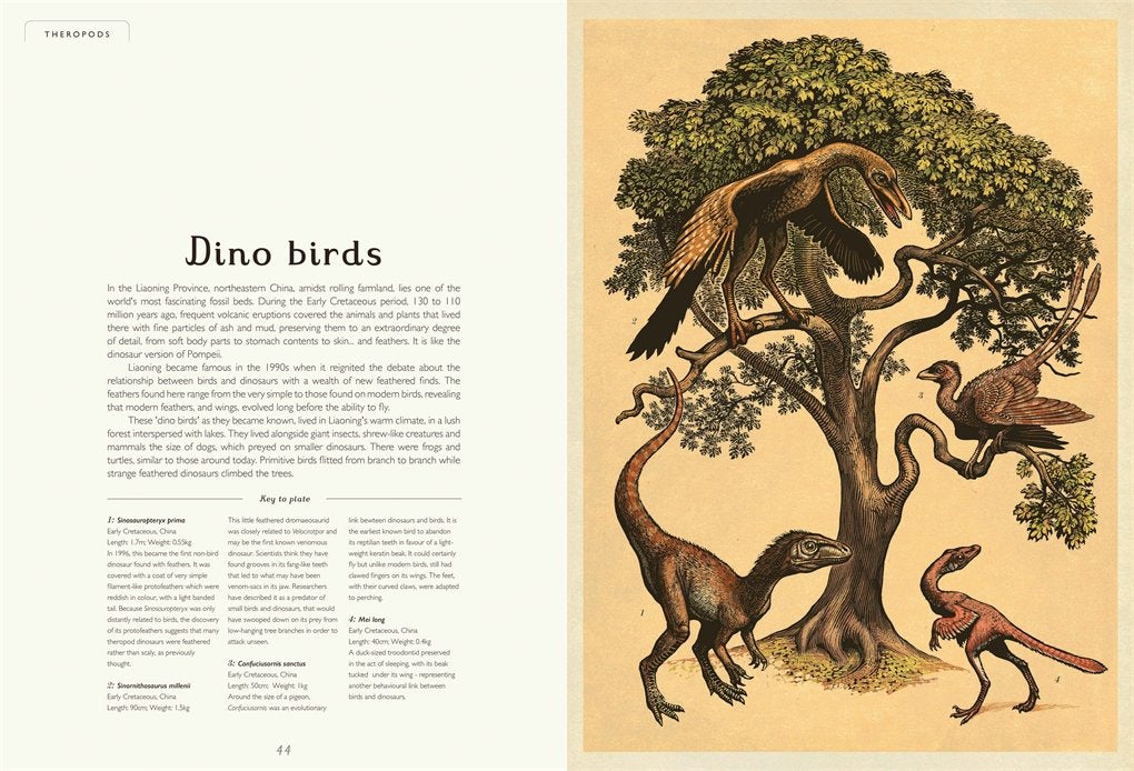 Welcome to the Museum Book Collection | Dinosaurium {Scott}
