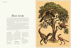 Welcome to the Museum Book Collection | Dinosaurium {Scott}