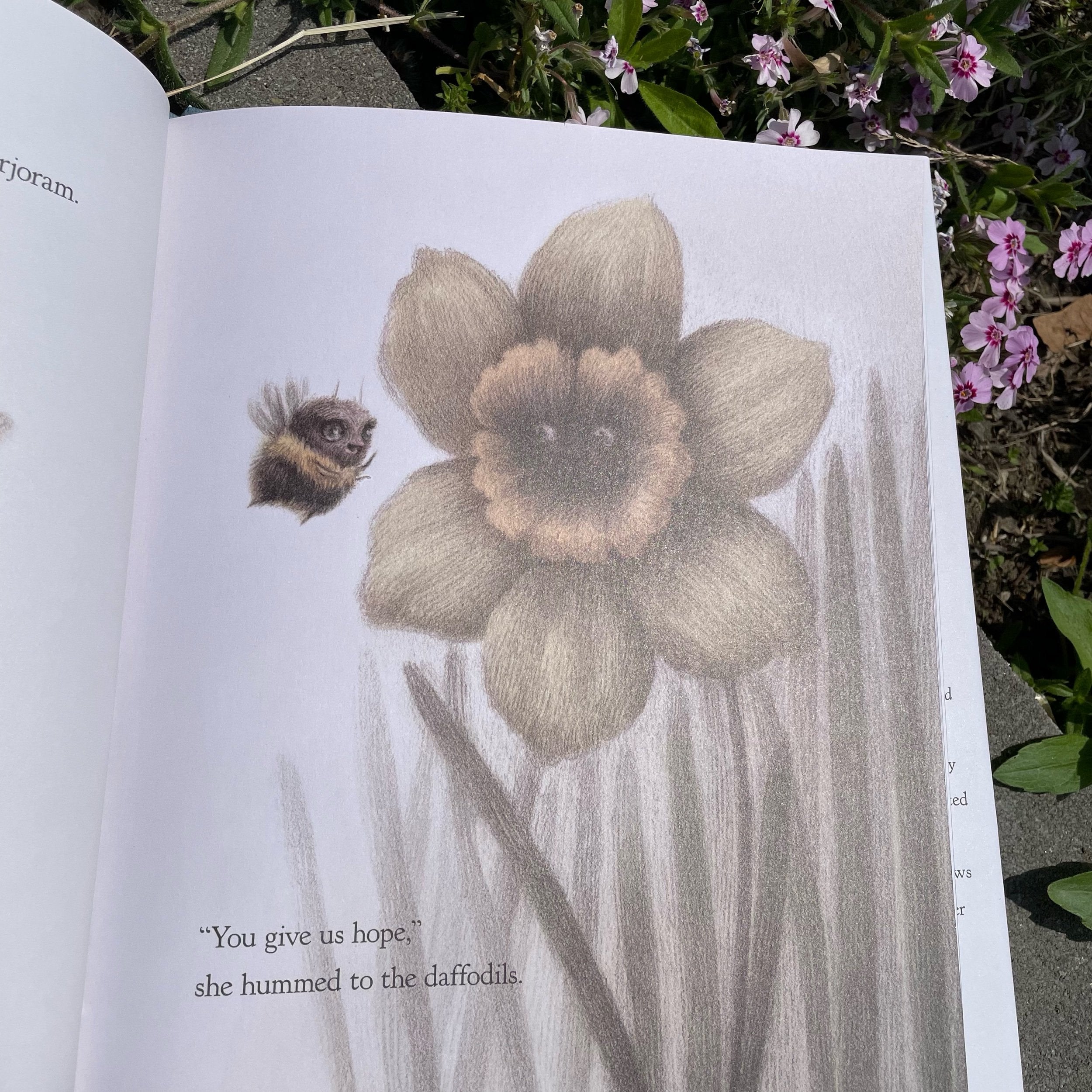 The Language of Flowers | Seiferling