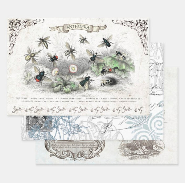 Feuilles simples d'emballage/découpage de créateur | 19" x 29" {Modèles multiples}