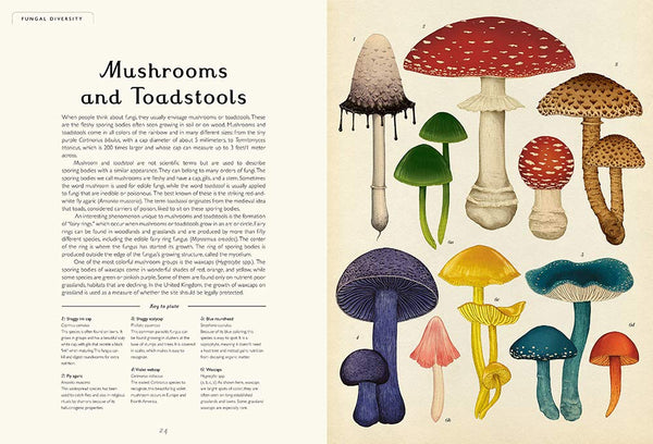 Welcome to the Museum Book Collection | Fungarium {Ester & Scott}