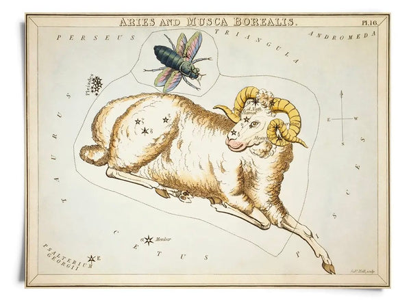 Astrologie du signe du zodiaque vintage | Impression artistique 8" x 10"