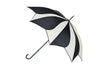 Swirl Umbrellas {multiple colors/styles}