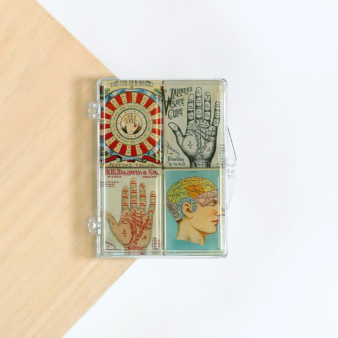 Fortune Teller Mighty Magnets