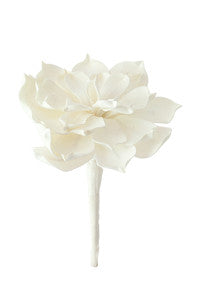 Botanica No. 334