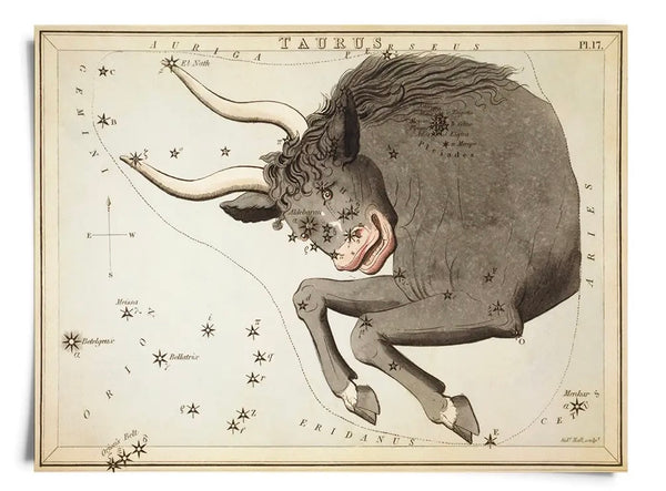 Astrologie du signe du zodiaque vintage | Impression artistique 8" x 10"