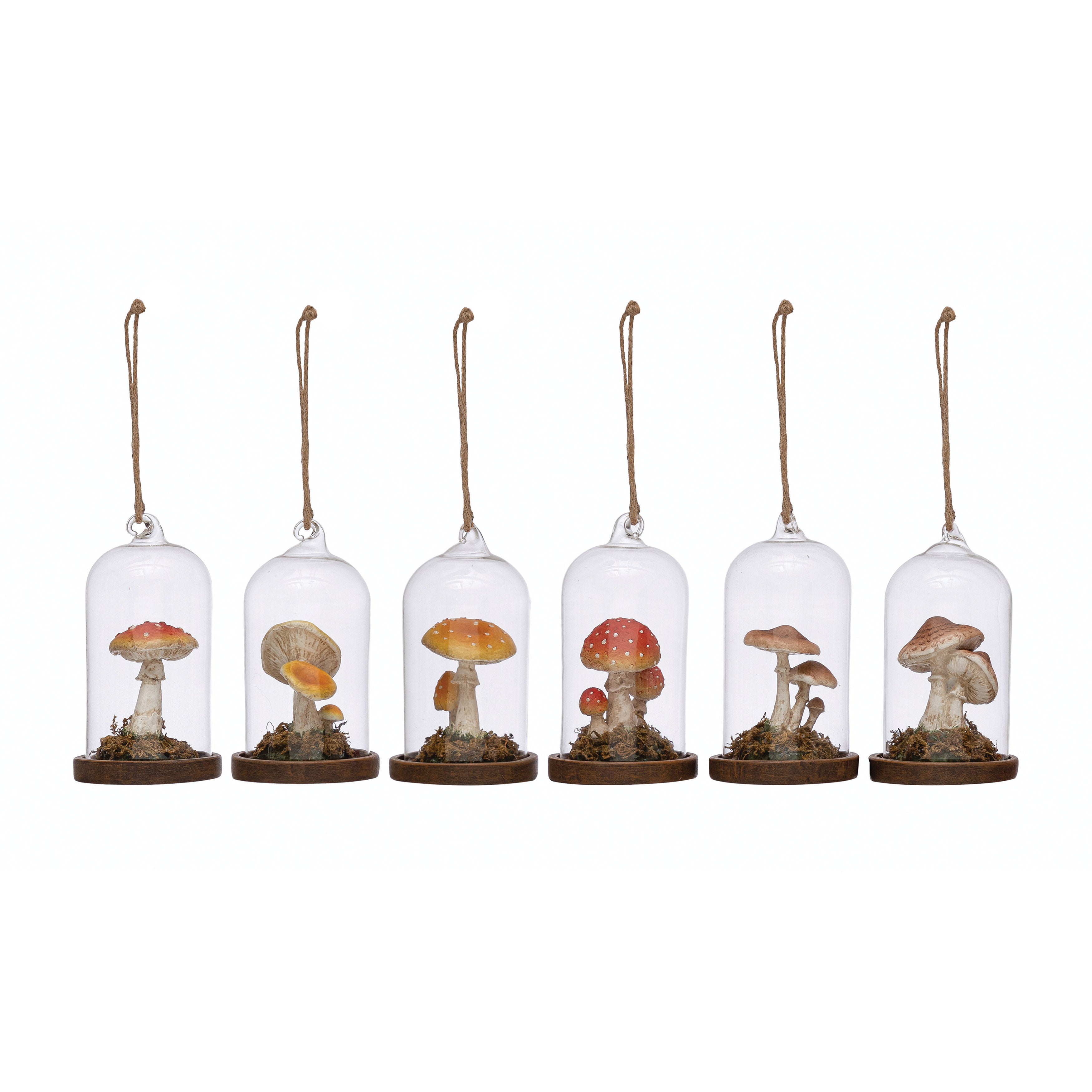 Glass Cloche Ornament with Resin Mushrooms