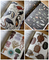 Welcome to the Museum Book Collection | Animalium {multiple types + bundle discount}
