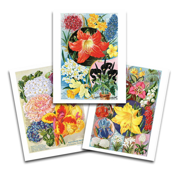 Vintage Flowers Art Prints | Set of 3 {multiple styles}