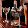 Inebriated Intentions Decanter Collection {multiple styles}