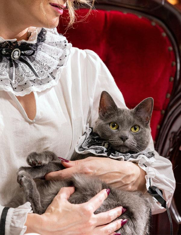 Gothic Victorian Pet Collar